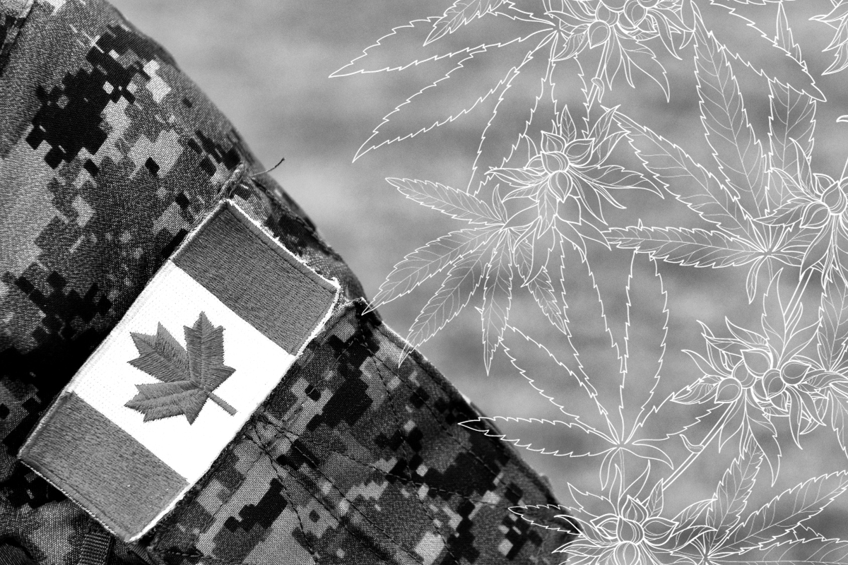 canadian veterans and medical cannabis